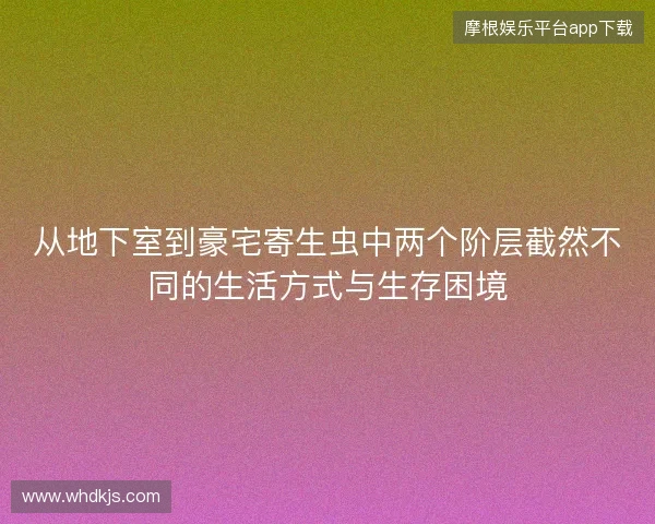 从地下室到豪宅寄生虫中两个阶层截然不同的生活方式与生存困境