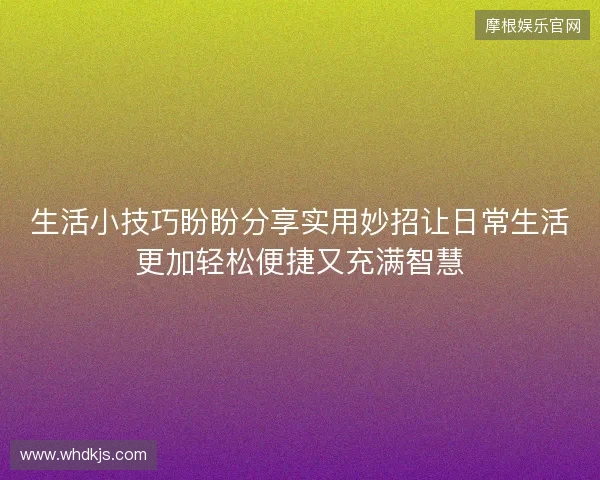 生活小技巧盼盼分享实用妙招让日常生活更加轻松便捷又充满智慧